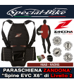PARASCHIENA ZANDONA' Spine EVC X6 - Livello 2
