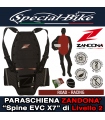 PARASCHIENA ZANDONA' Spine EVC X7 - Livello 2