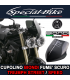 Cupolino Biondi Triumph Speed Triple /R Fume Scuro