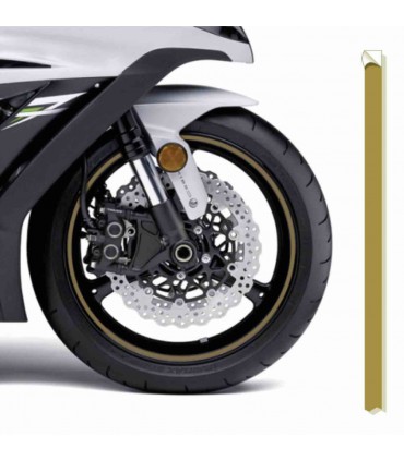 Strisce cerchi Moto PRINT RSGOLDP Oro Gold